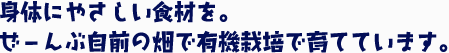 身体にやさしい食材を。ぜーんぶ自前の畑で有機栽培で育てています。