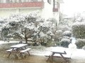 またまたまた雪〜( ・_・)
