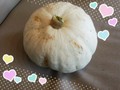 初物ー〜(*^^*) かぼちゃ♪